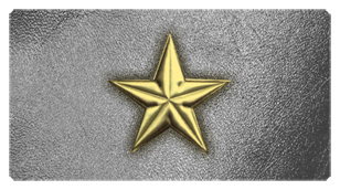 DSC700 430 GD SL Star Gold Silver